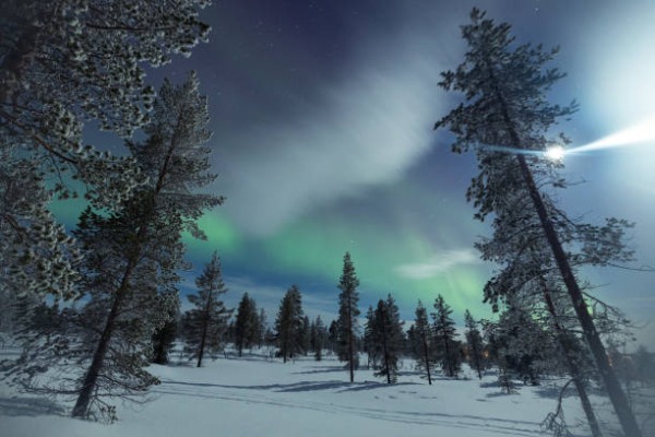 Paisagem de floresta nevada com luzes do norte