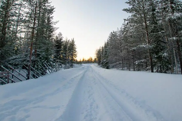 Rota coberta de neve com árvores arborizadas nas laterais