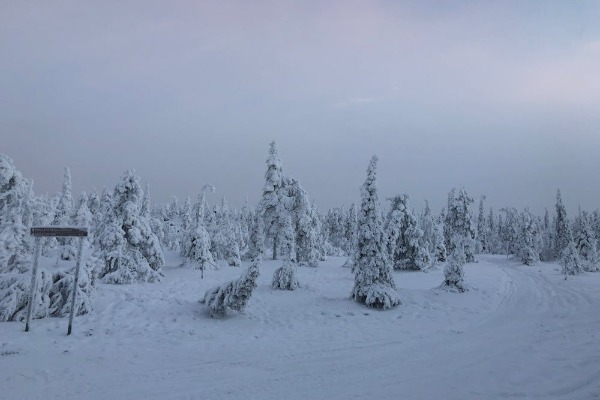 Paisagem de floresta nevada em Rovaniemi