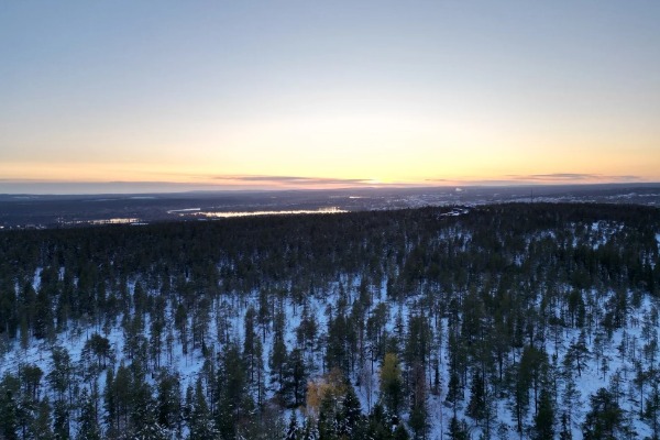 Vista panorâmica do céu de uma floresta coberta de neve ao anoitecer