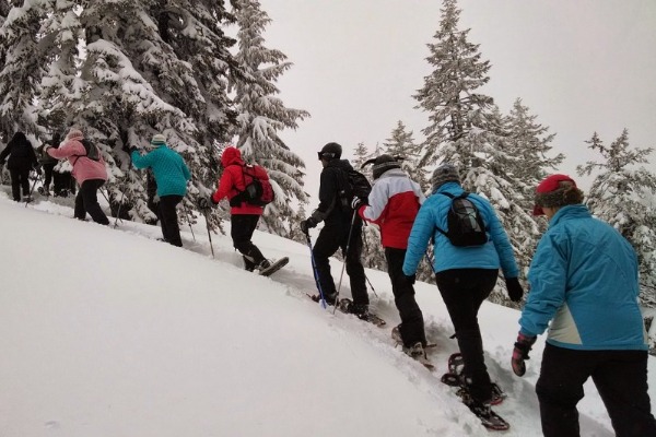 Grupo de pessoas andando com raquetes de neve em uma encosta de floresta