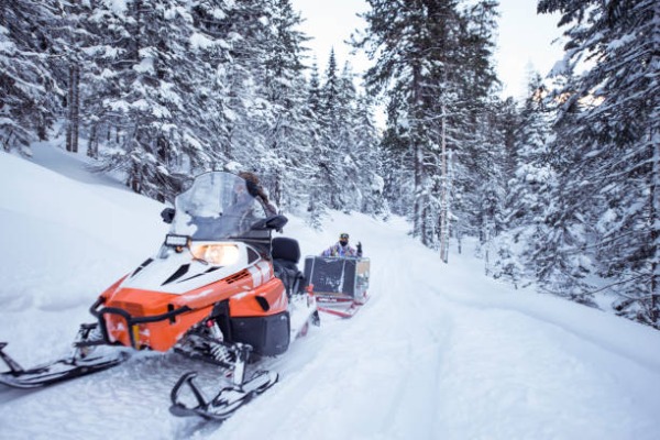 Pessoas em dois snowmobiles vermelhos em uma floresta nevada