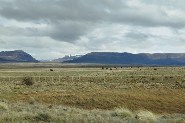 vistas das pampas e montanhas argentinas