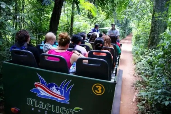 Veículo do Macuco Safari passageiros a bordo do veículo durante o Safari Macuco