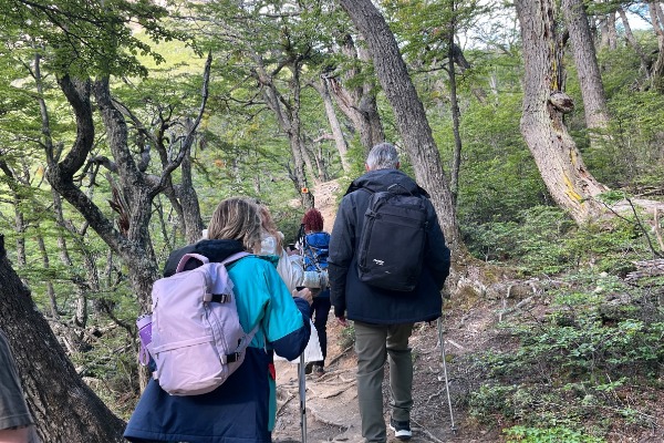 Pessoas caminhando com bastões de trekking e mochilas na trilha no meio da floresta
