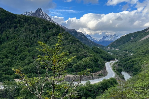 Rota 3 a partir de Ushuaia, com uma paisagem repleta de vegetação.