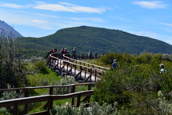 Visitantes caminhando pelas passarelas do Parque Nacional da Terra do Fogo. Um grupo de caminhantes percorre uma passarela elevada de madeira que serpenteia por entre a vegetação baixa e os arbustos em direção a uma colina arborizada, sob um céu azul e nublado no Parque Nacional da Terra do Fogo.