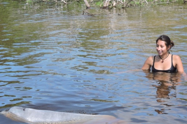 garota nadando com golfinhos garota nadando com golfinhos no rio