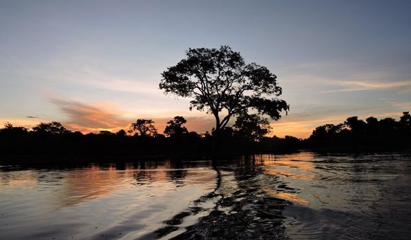 Pôr do sol no rio Yacuma Pôr do sol no Rio Yacuma visto da água