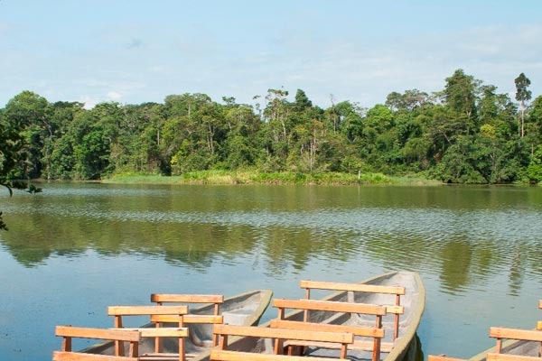 reserva cuyabeno canoas na reserva cuyabeno