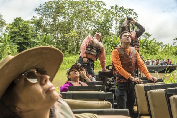 passeio de barco para observação de pássaros