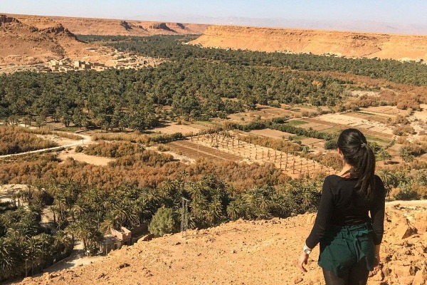 Ziz-Tal Eine Reisende betrachtet die Palmenhaine des Ziz-Tals auf der Strecke von Merzouga nach Fès