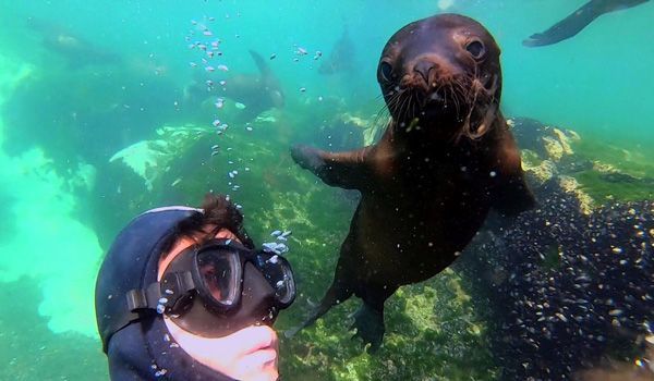 reisende mit seelöwe puerto madryn