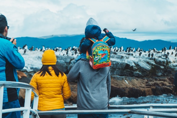 Pinguin-Sichtung Menschen beobachteten die Pinguine vom Boot aus