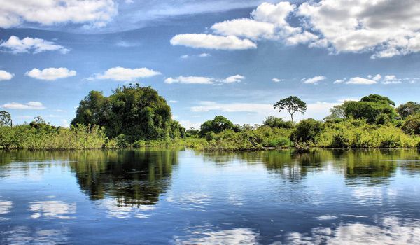Pampas del Yacuma