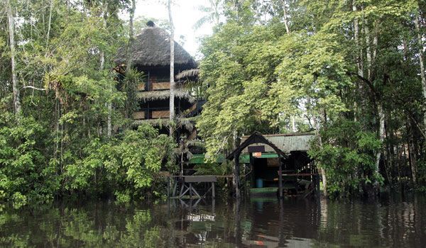 Amazonas-Tour Ecuador 5 Tag – Cuyabeno-Wildreservat Holzlodge im Herzen des Amazonas-Dschungels in Cuyabeno