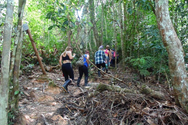 Eine Gruppe von Reisenden auf einer geführten Wanderung durch einen Urwald