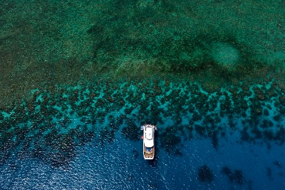 Excursión Gran Barrera Coral y selva Daintree | 2 días