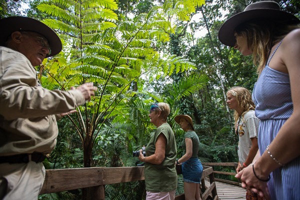 guided daintree rainforest walk a guide and a group of travelers walk around the Daintree Rainforest
