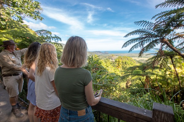 guide viewpoint daintree forest guide at a scenic viewpoint at daintree forest