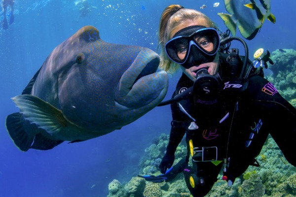 A happy diver at the bottom of the Great Barrier Reef in Cairns.