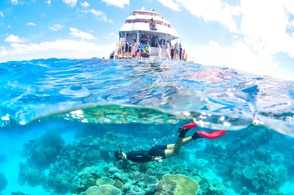 A person snorkeling over a turquoise coral reef, with a boat visible on the surface.