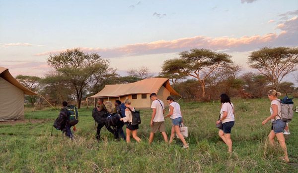travelers at the serengeti park lodge