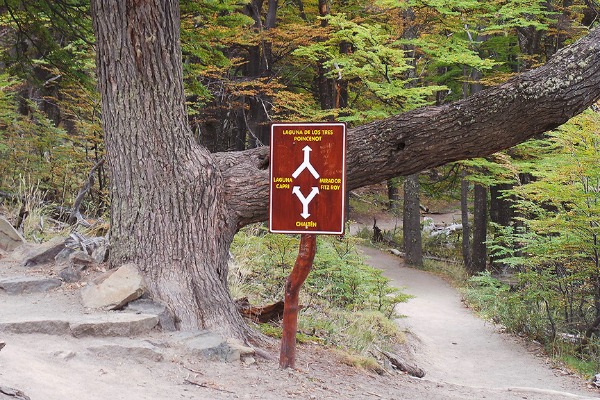 Fork to Laguna Capri and Laguna de los Tres Sign in the forest indicating the detours to Laguna Capri, Mirador Fitz Roy and Laguna de los Tres in El Chaltén.