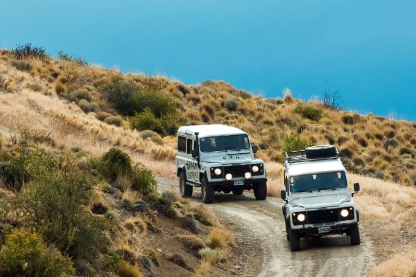 vehicles in the field at the safari experience