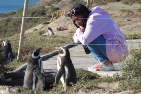 girl crouched down watching some penguins from close range