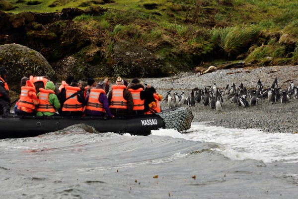 boat, penguins, Magdalena Island A boat with passengers on Magdalena Island watching penguins