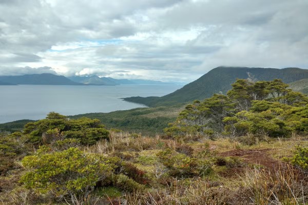 panoramic view of the Strait of Magellan from Mount Tarn