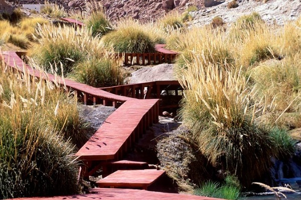 Puritama Hot Springs Walkways Wooden walkways leading to the natural pools at Puritama Hot Springs