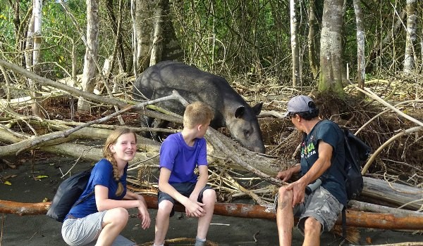 guide and travelers spotted a tapir