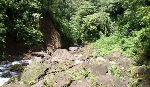 Rio Claro in Corcovado Rio Claro in Corcovado