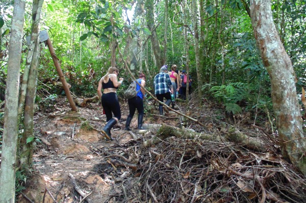 primary forest hike group of travelers on a guided hike in primary forest