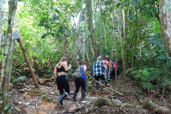 primary forest hike group of travelers on a guided hike in primary forest