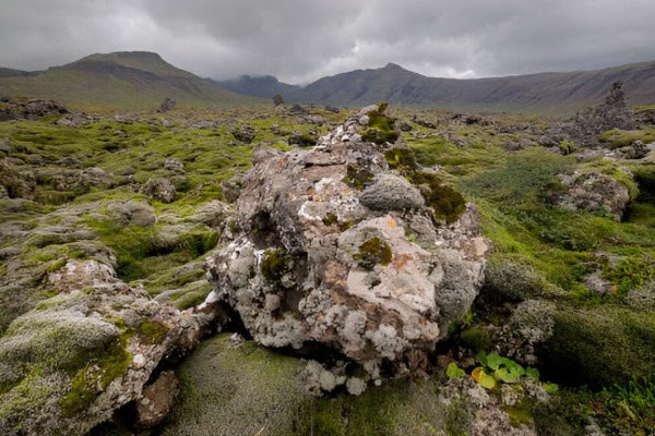 Berserkjahraun lava fields Landscape of the lava fields of Berserkjahraun