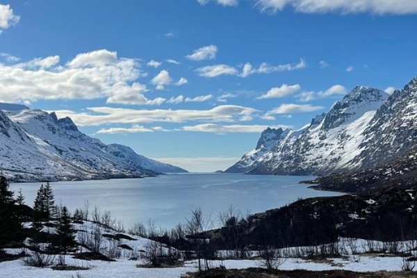 Ersfjordbotn Fjord Ersfjordbotn Fjord views