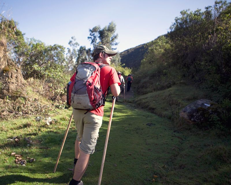 sissy stick trekking pole