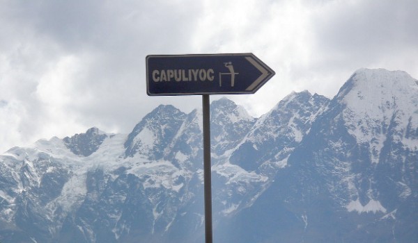 Capuliyoc sign