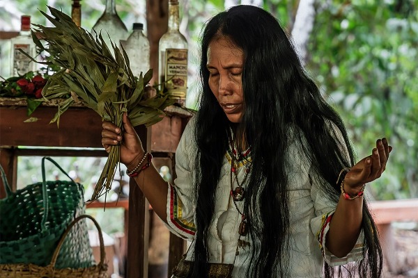 member of the native community
