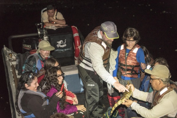 night river excursion