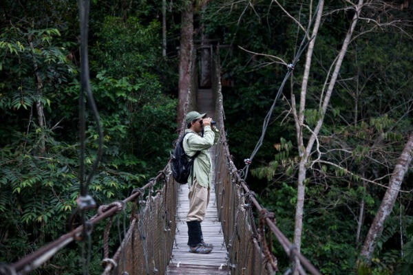 boy on suspension bridges