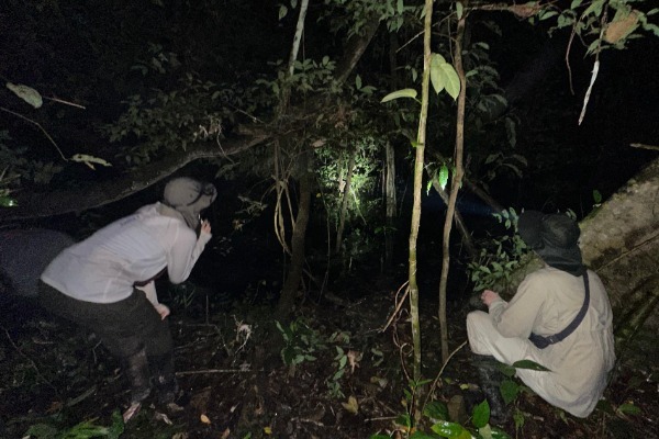 Travelers exploring the Amazon jungle at night with flashlights on the Pacaya Samiria tour
