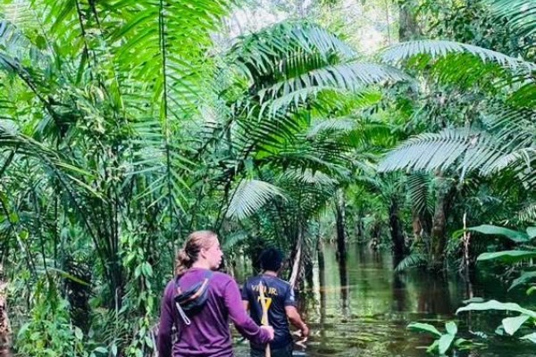 Tourists walking through the jungle