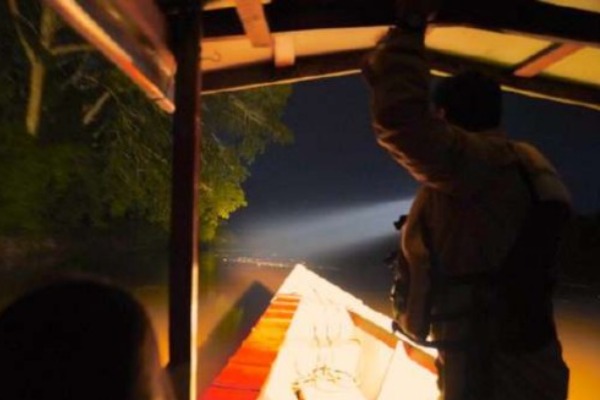 Night boat ride on the Madre de Dios River searching for Amazonian fauna.