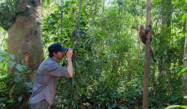 boy taking a picture of a monkey in the jungle
