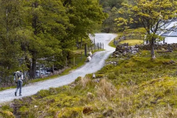 Young man walking Young woman walking through WHW