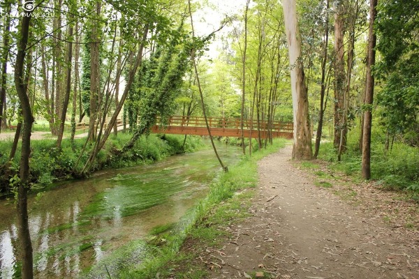 Louro River on the Portuguese Way Trail along the Louro River on the Camino de Santiago from Tui